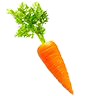Vegetables & Fruits
